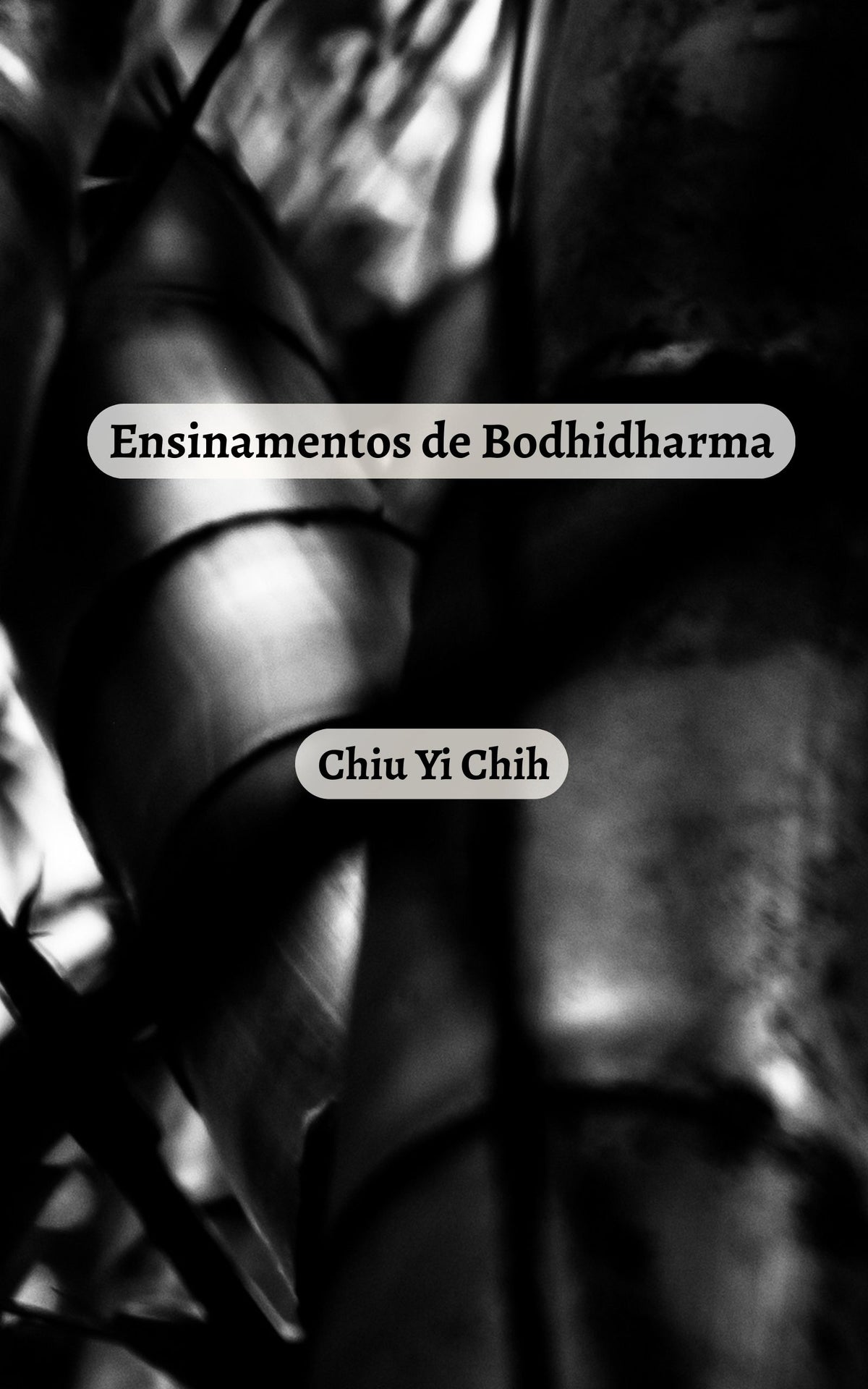 ENSINAMENTOS DE BODHIDHARMA (Livro e e-book)